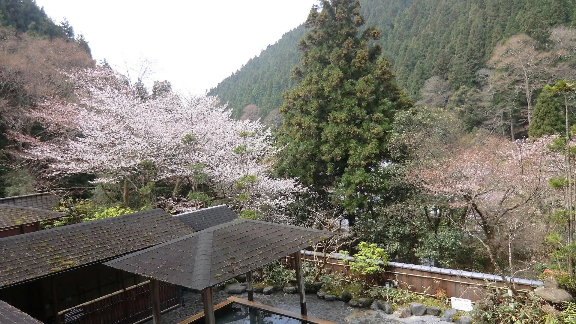 传统日式旅馆 库拉马温泉酒店 京都